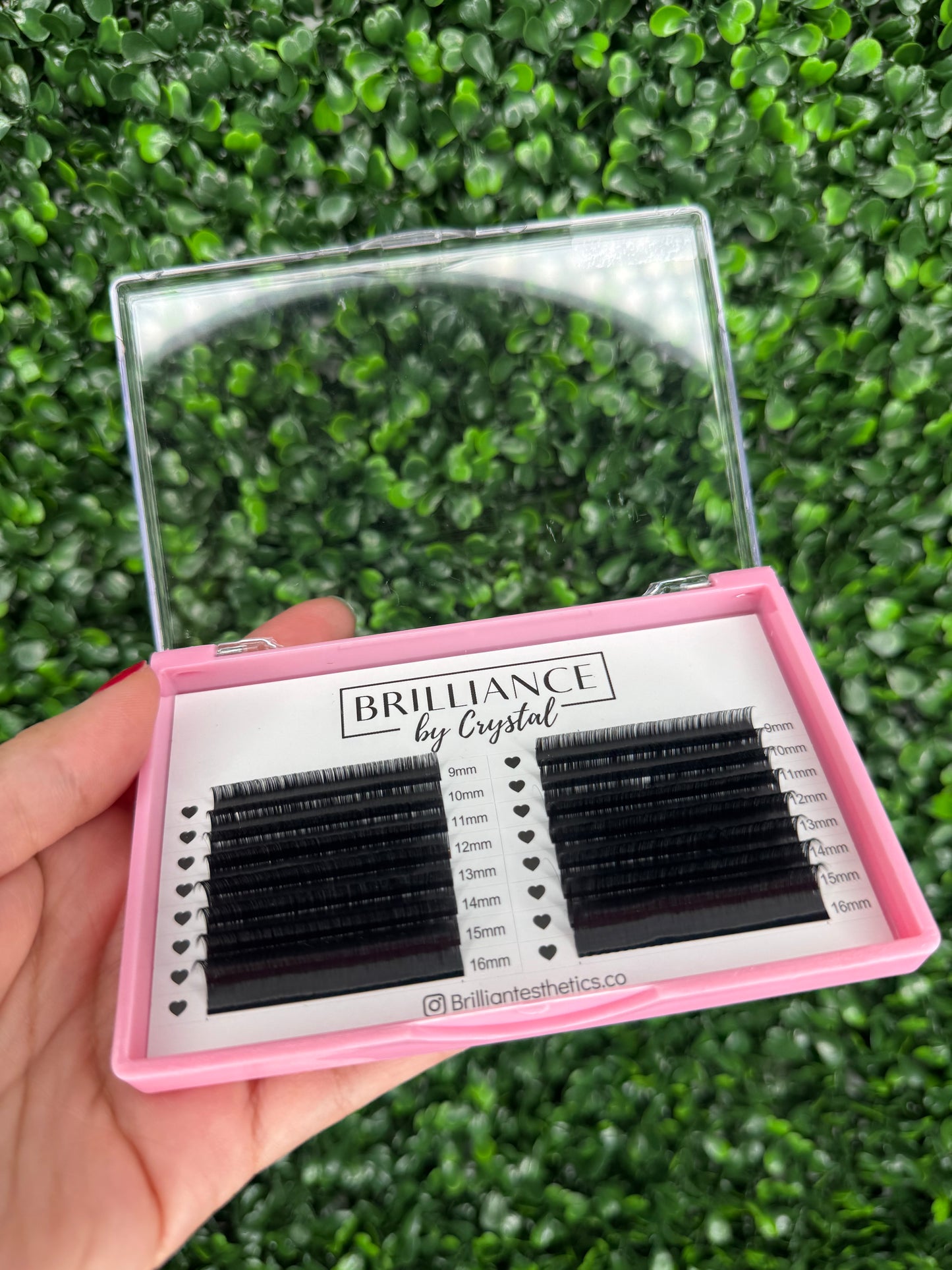 Matte Lash Trays